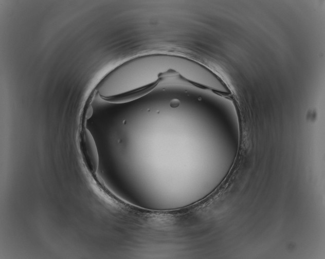 X0000090761136200708031624