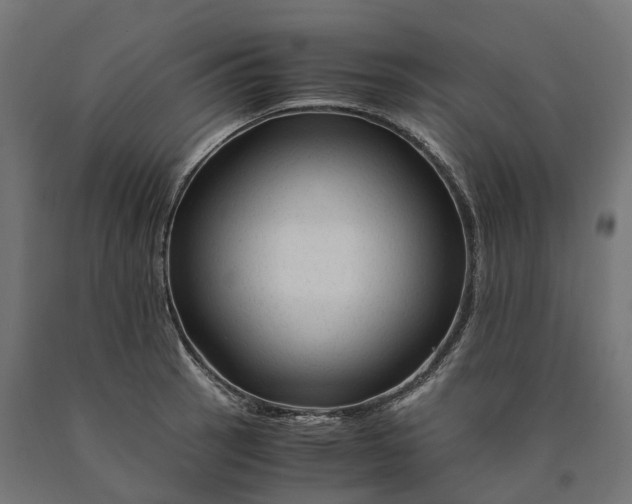 X0000090761137200708031624