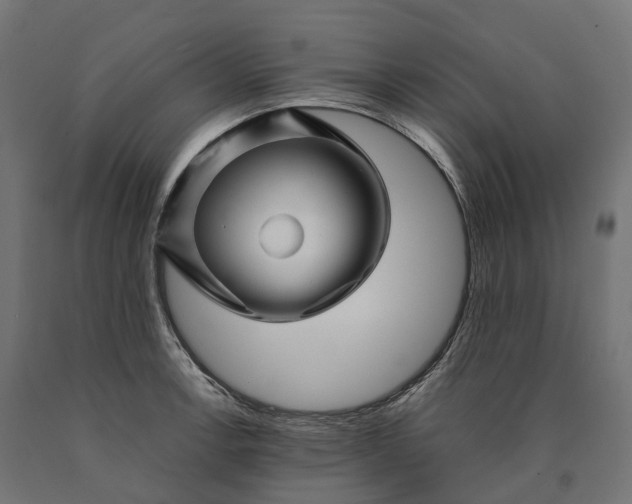 X0000090761138200708031624