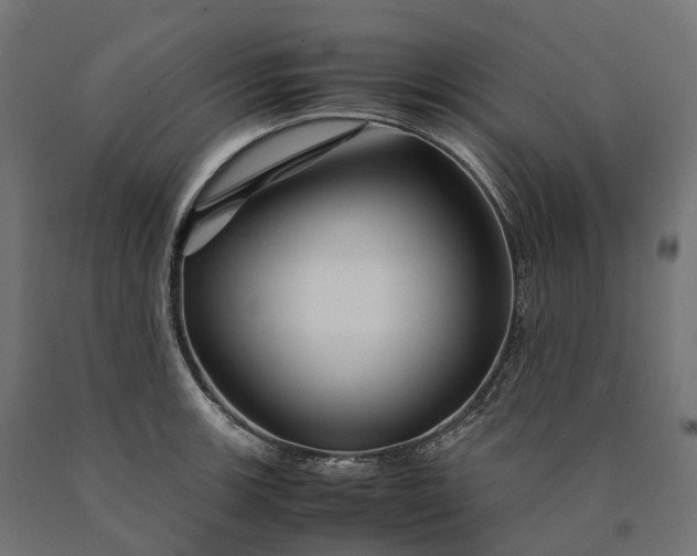 X0000090761139200708031624