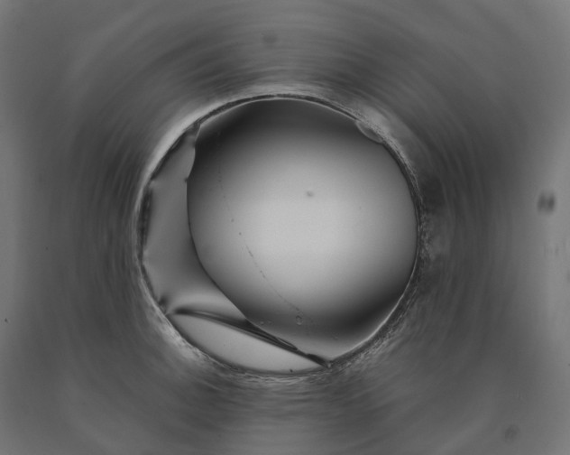 X0000090761140200708031624