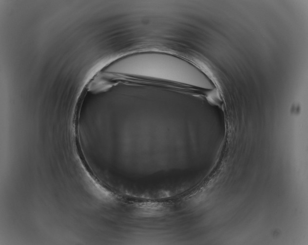 X0000090761141200708031624