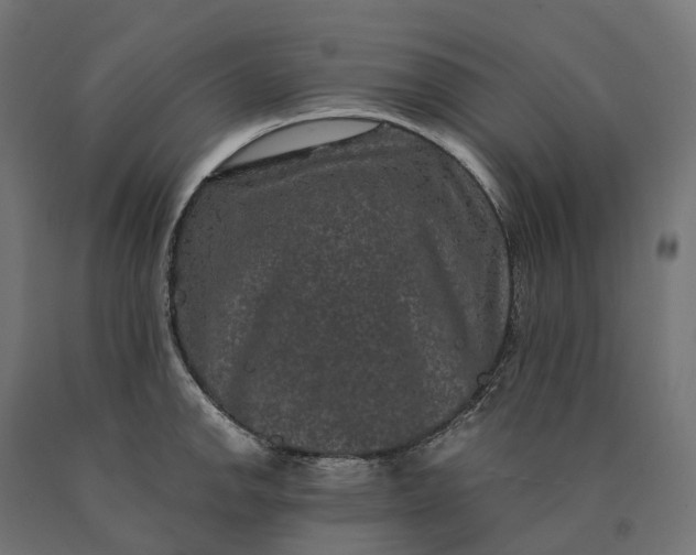 X0000090761142200708031624