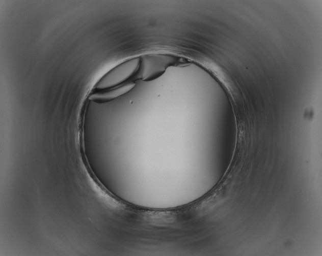 X0000090761143200708031624