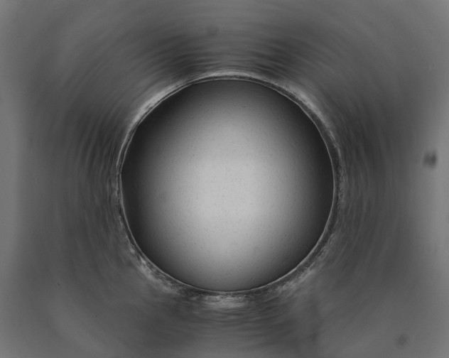 X0000090761145200708031624