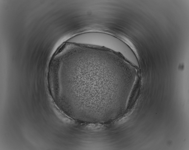 X0000090761146200708031625