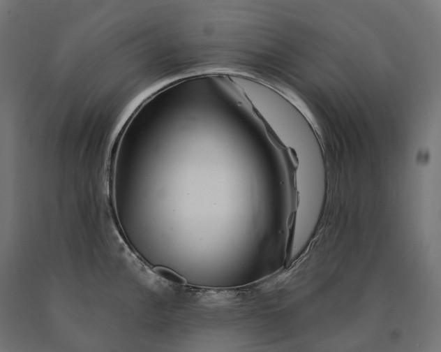 X0000090761148200708031625