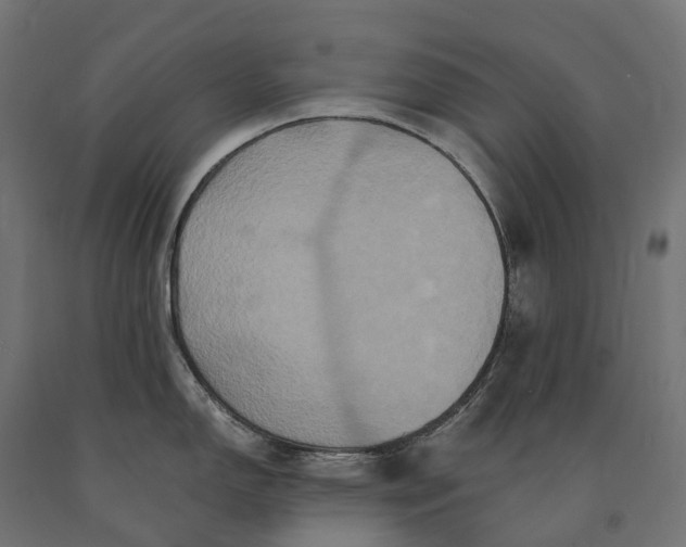 X0000090761150200708031625