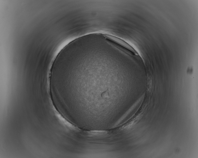 X0000090761151200708031625