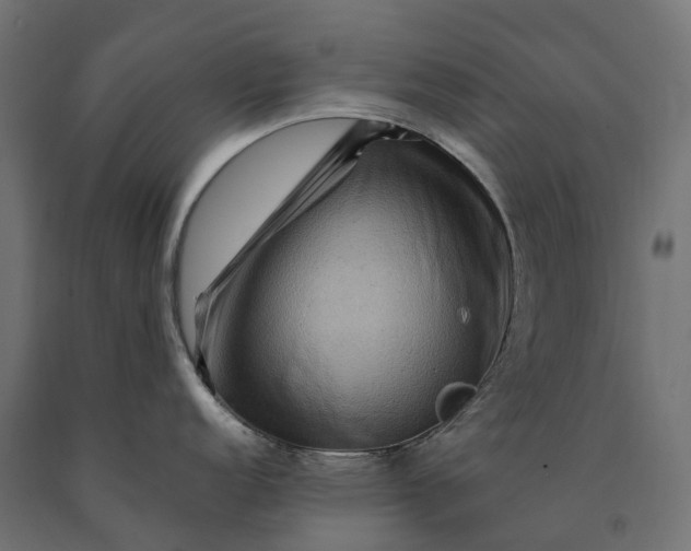 X0000090761152200708031625