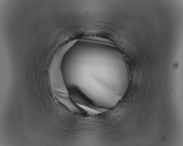 X0000090761153200708031624