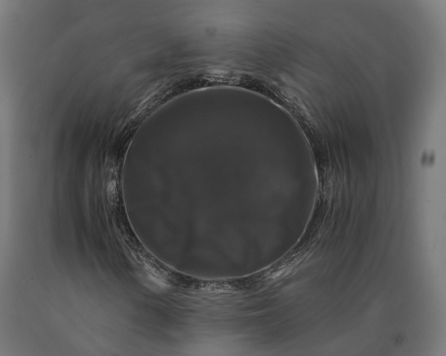 X0000090761154200708031624