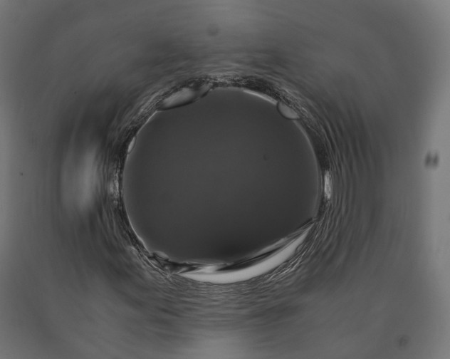 X0000090761155200708031624