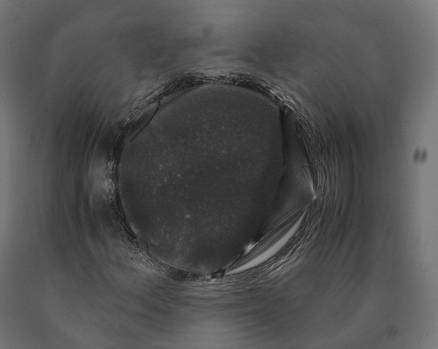 X0000090761156200708031624