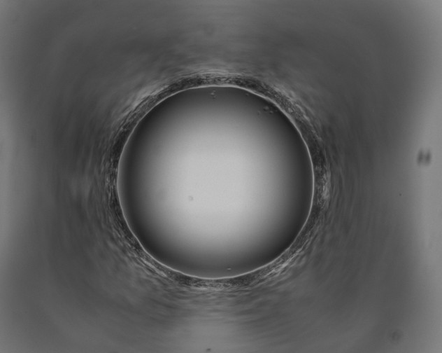 X0000090761157200708031624