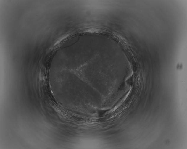 X0000090761158200708031624