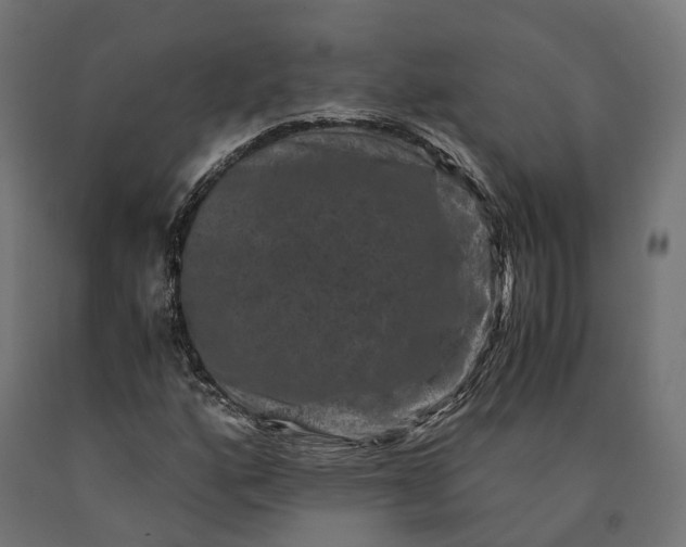 X0000090761160200708031624