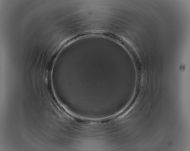 X0000090761161200708031624