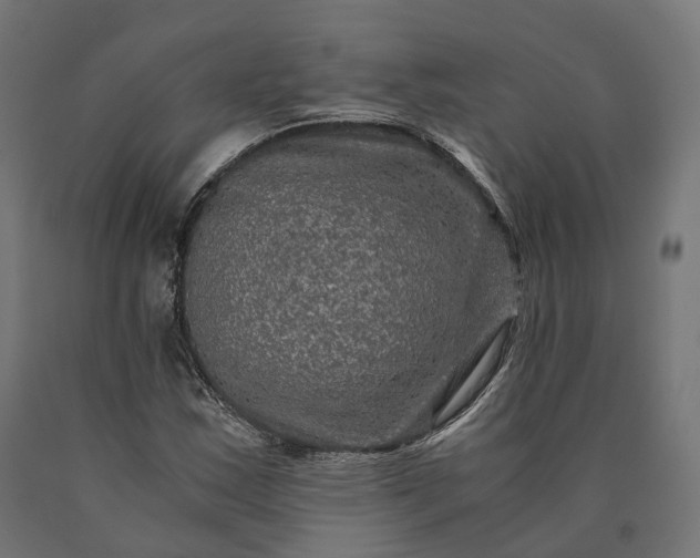 X0000090761163200708031624