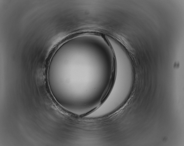 X0000090761164200708031624