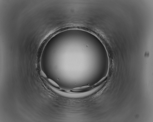 X0000090761165200708031624