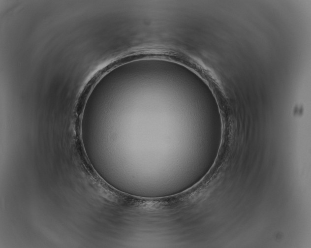 X0000090761166200708031624