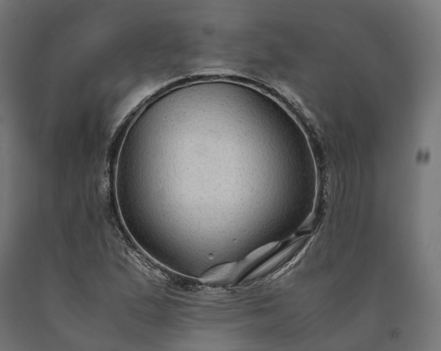 X0000090761167200708031624