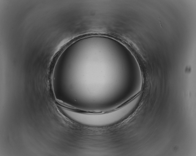 X0000090761168200708031624