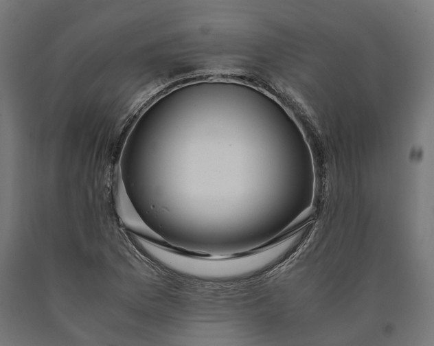 X0000090761169200708031624