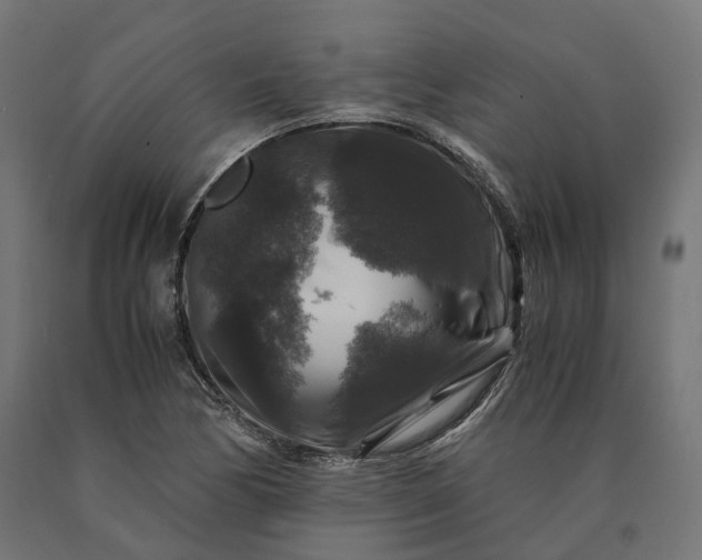 X0000090761170200708031624