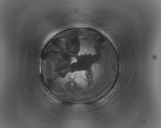 X0000090761171200708031624