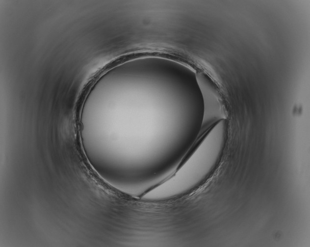 X0000090761172200708031624