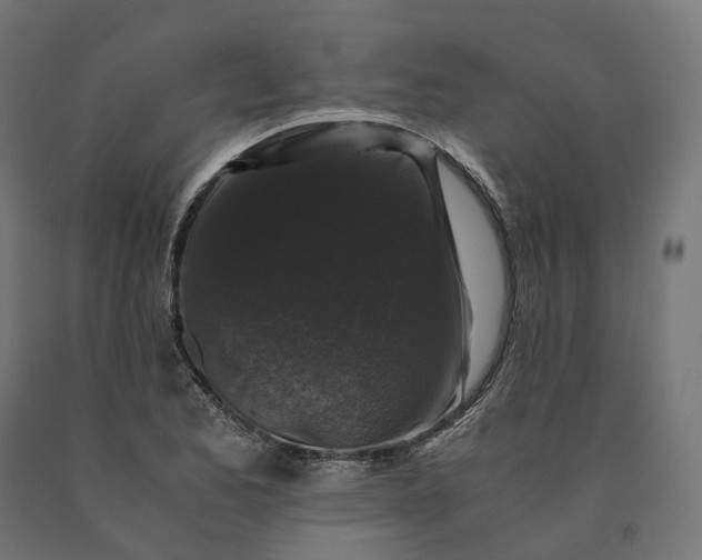 X0000090761173200708031624