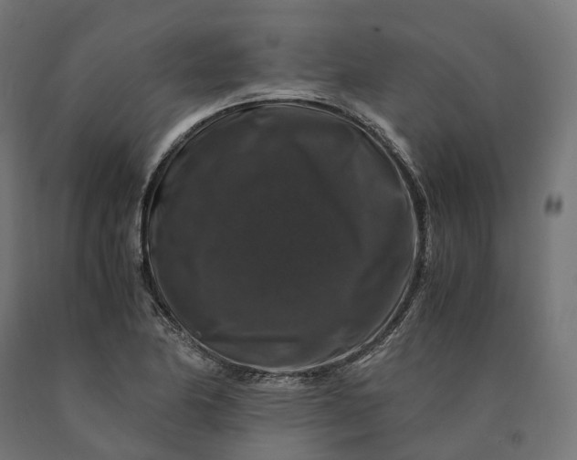 X0000090761174200708031624