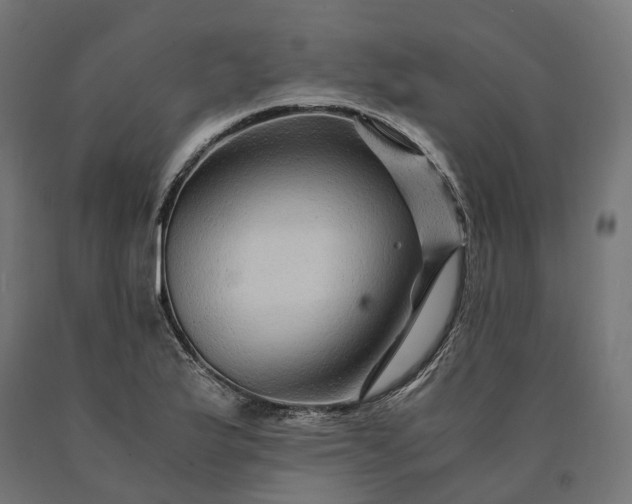 X0000090761175200708031624