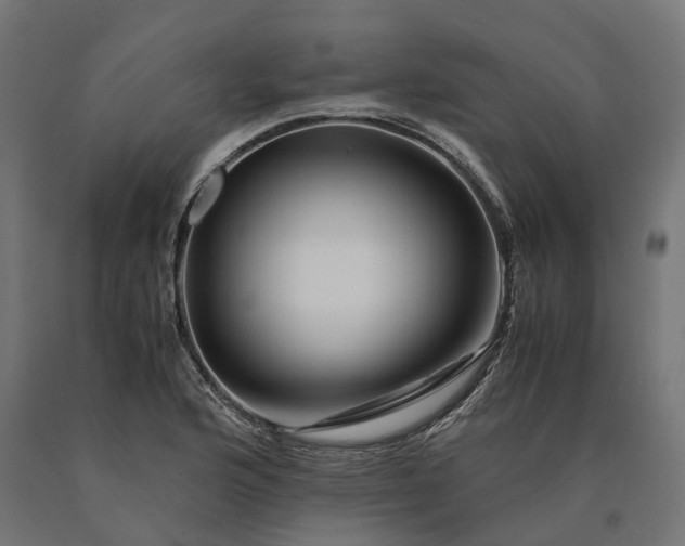 X0000090761176200708031624