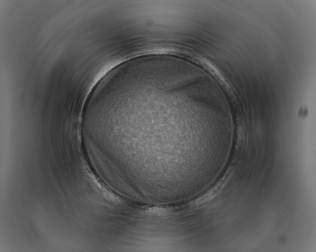 X0000090761178200708031624