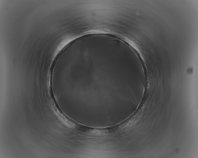 X0000090761179200708031624