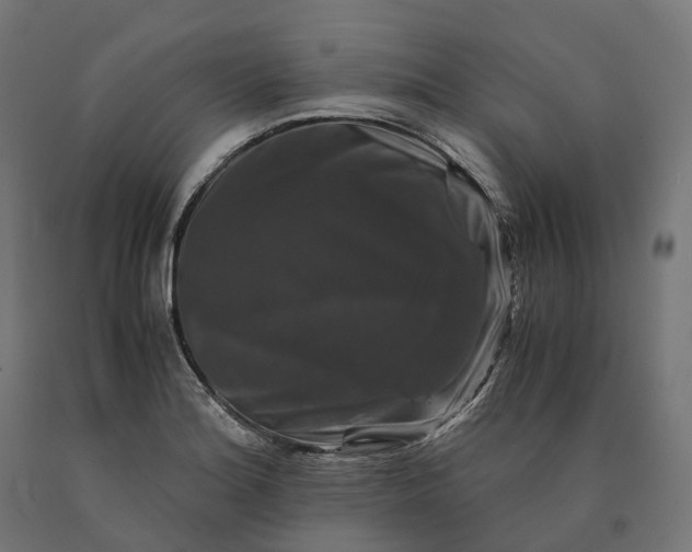 X0000090761180200708031624