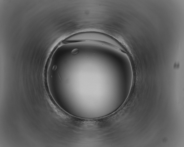 X0000090761181200708031624