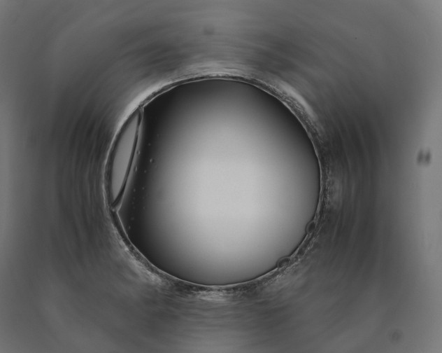 X0000090761182200708031624