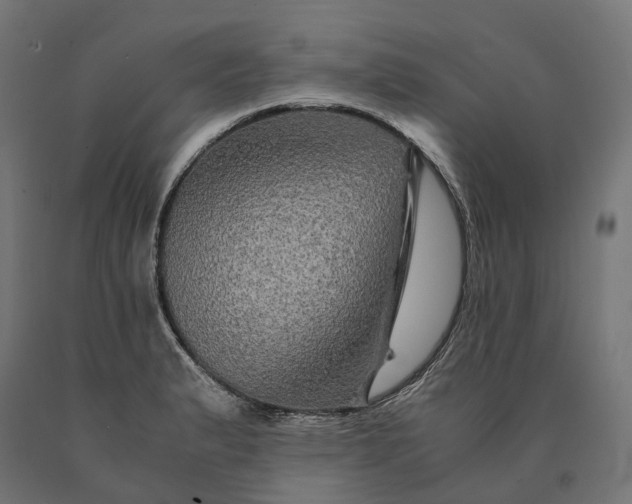 X0000090761183200708031624