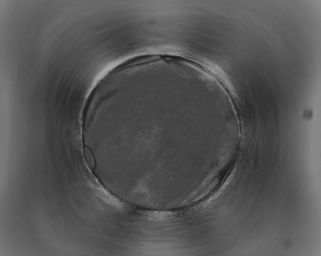 X0000090761184200708031623