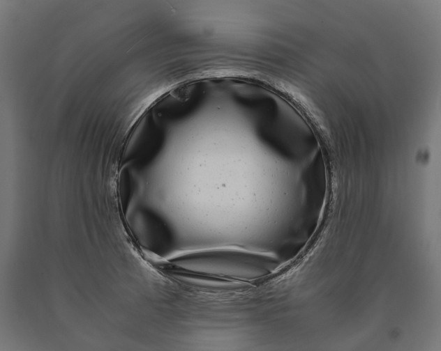 X0000090761185200708031623