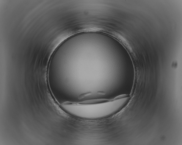 X0000090761186200708031623