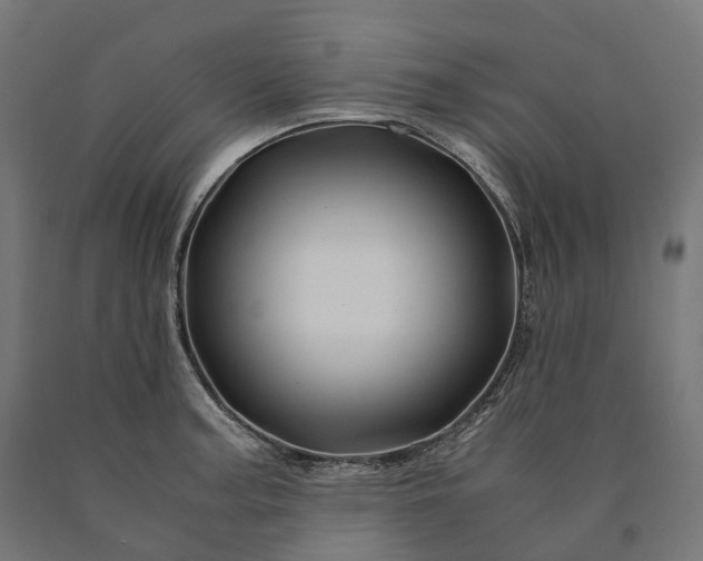 X0000090761187200708031623