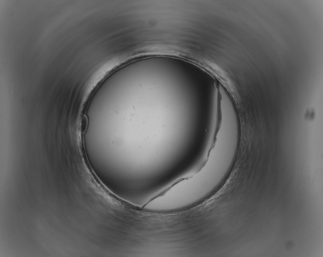 X0000090761188200708031623