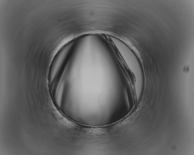 X0000090761189200708031623