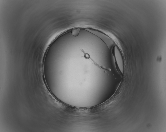 X0000090761191200708031623