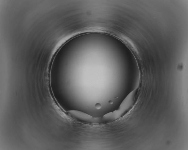 X0000090761192200708031623